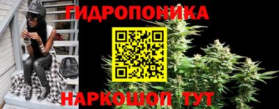 хмурый Гусев