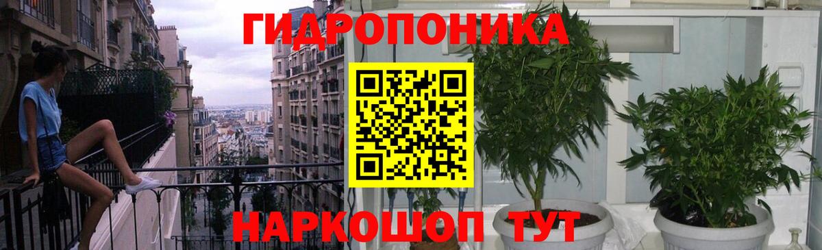 Каннабис планчик  Вход с VPN  Шишки марихуана OG Kush  Бошки марихуана ГИДРОПОН  Мыски 